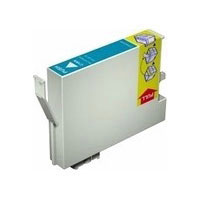 Epson C13T623000